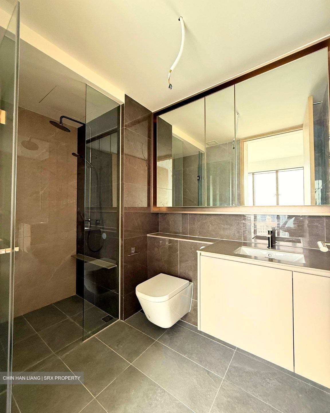 Pinetree Hill (D21), Condominium #638198051